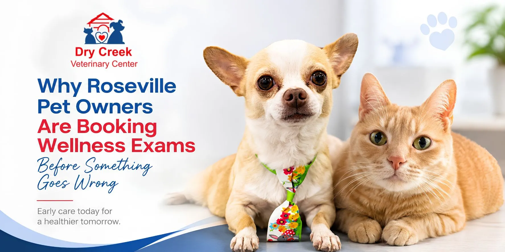 Why Roseville Pet Owners Are Booking Wellness Exams Before Something Goes Wrong - Dry Creek